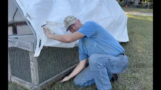 S4E77 Raccoons Killed Chicks in My Chicken Tractor - Time to Modify it!