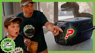 Missing Mystery Pet with Wildlife Animal Adventure Park Zoo 🦖 T-Rex Ranch Dinosaur Videos