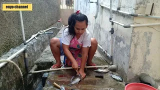 Reni latah ribut sama ikan nila,si ikan di marahin lucu sumpah 😂