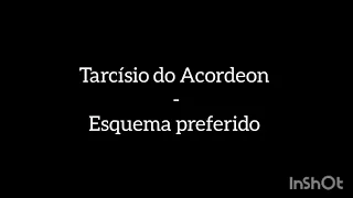 Tarcísio do Acordeon - Esquema preferido (letra)