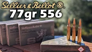 Sellier & Bellot 77gr 556 HPBT -  Ammo Testing