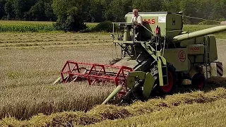 Ein echtes Schätzchen: Claas Matador Gigant.