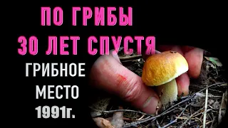 БЕЛЫЕ ГРИБЫ ВЕРНУЛСЯ В 1991г, Продолжение по старым грибным местам! Подмосковье 2022.