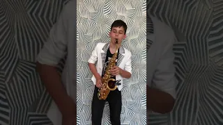 Stumblin' in/Suzi Quattro - saxophone cover Peter Gregorian