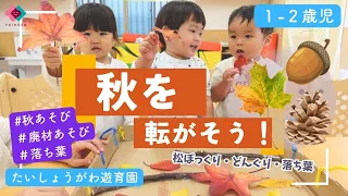 【1・2歳児】秋を転がそう！～松ぼっくり・どんぐり・落ち葉～