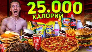 25 000 КАЛОРИЙ ЗА 24 ЧАСА | ЭТО ВООБЩЕ РЕАЛЬНО? | 25 000 Calorie Challenge