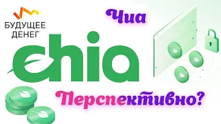 XCH (Chia Network или Chia coin) - Что такое Чиа? Прогноз цены, перспективы. Окупаемость майнинга.