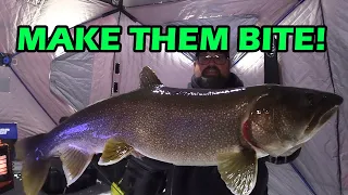 BIG BIG Lake Trout!! | Ice Fishing