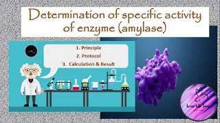 In vitro determination of specific activity of enzyme (amylase)