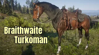Getting the Braithwaite Turkoman - Short Version : Horse Flesh for Dinner : Red Dead Redemption 2