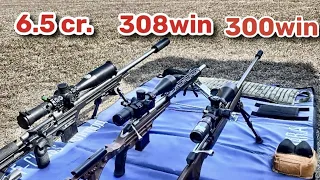 6.5 creedmoor, 308 win, 300 win mag. На дистанциях 300,500,1000м