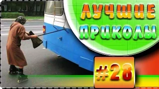 Лучшие видео приколы | Подборка приколов 2015 (август-часть 7)