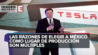 ¿Por qué eligió Tesla a México? Las razones de Musk