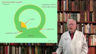 Lecture 3.  The Vestibular System  Structure, Function and Dysfunction
