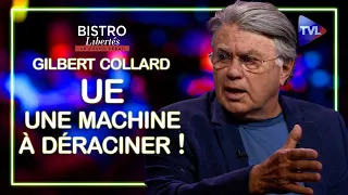 UE, une machine à déraciner ! Bistro Libertés avec Gilbert Collard - TVL