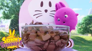 SUNNY BUNNIES - Chocolate Treats | Season 5 | Cartoons for Children