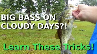 The Myth Of Fishing For Big Bass On Cloudy Days! (Surprising!)