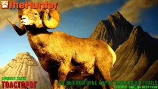 ♢ theHunter Classic ➫ Рубрика: Помощь новичкам ♢ миссии на толсторога ℘⓵ ➫ bighorn sheep missions ♢