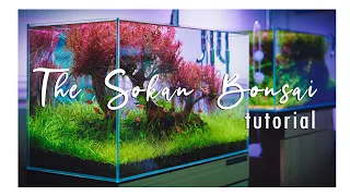 A Red Bonsai Aquascape | The Sokan Bonsai | Step-by-Step Setup | 4K Video