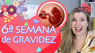 6ª SEMANA DE GESTAÇÃO | Sintomas, como está o bebê, o corpo da mamãe | 1º TRIMESTRE DE GRAVIDEZ