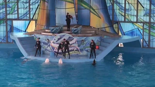 SeaWorld San Antonio Ocean Discovery: Dolphins & Beluga Whales show