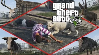 Grand Theft Auto V - Play as Wild Animals (Peyote) [1080p] TRUE-HD QUALITY