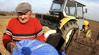 Kazimierz stawia na owies Zasiew większego pola Ursusem C-360