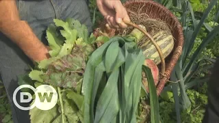 The ancient recipe curing sick soil | DW English