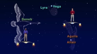 Star Gazers Aug 21-27th 5 Min