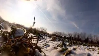 The Dog's Perspective - Pheasant Hunting (GoPro Hero2)