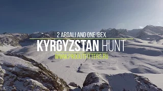 Two Argali and Ibex combo in Kyrgyzstan