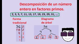 Descomposición de un número entero en factores primos: Forma tradicional y diagrama de árbol.