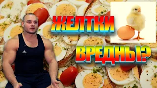 Яйца. Желток. Польза и вред.