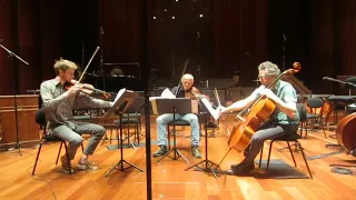 Claus-Steffen Mahnkopf - Con Luigi Nono for string trio (2017) - Ensemble Contrechamps