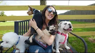 Sarah Ross - Doin' Just Fine (Dog Rescue Video)