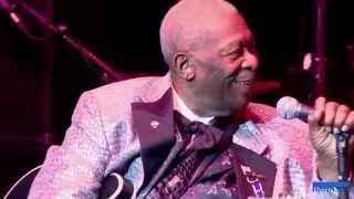 | B.B King | Live | At The Royal Albert Hall | HD |