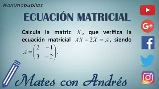 Ecuación matricial. Matriz con incógnitas. AX-2X=A