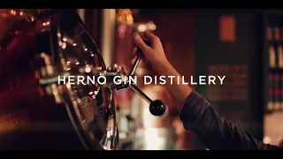 Hernö Gin distillery tour