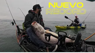 Pesca de corvina XL . NUEVO RECORD