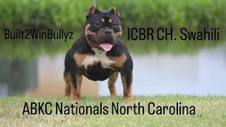 ABKC Nationals North Carolina Winston Salem Must watch