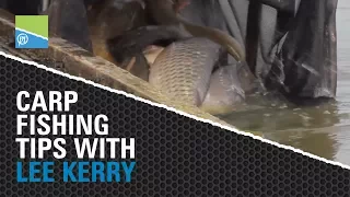 Carp Fishing Tips