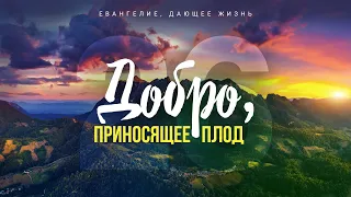 Галатам: 26. Добро, приносящее плод (Алексей Коломийцев)