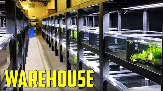 First Look at Aquarium Co-Op's New Warehouse