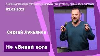 "Не убивай кота" - Сергей Лукьянов - 03.02.2021