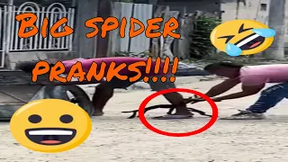 Spider Toy Prank: Scaring Strangers in Public! 😅😆😄😀😂