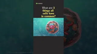 1 Minute Biology Quiz - 3 things all cells have in common?