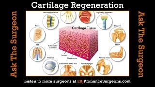 Cartilage Regeneration