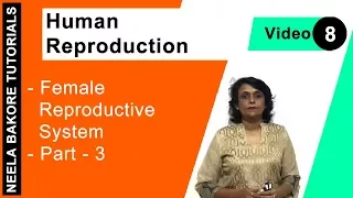 Human Reproduction | NEET | Female Reproductive System - Part 3 | Neela Bakore Tutorials