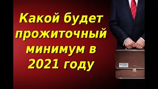 Какой будет прожиточный минимум в 2021 году