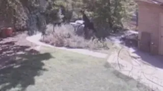 Video shows man steal rock worth over $1K from Albuquerque home